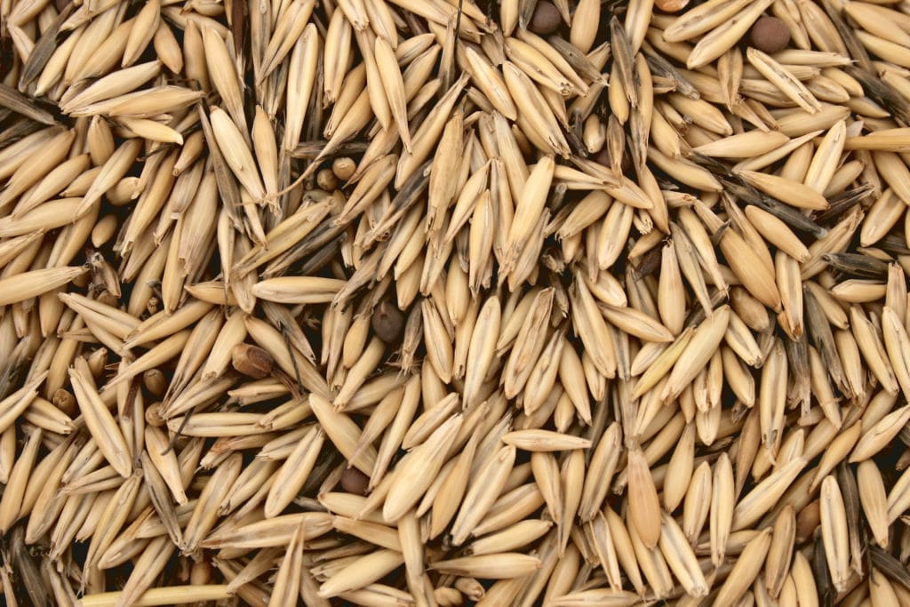 Hi Form Equine – Premium Horse Supplements