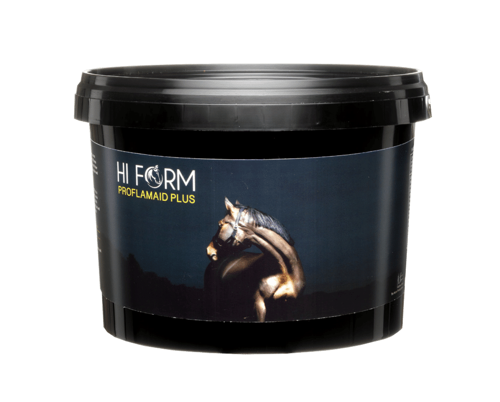 Hi Form Equine – Premium Horse Supplements