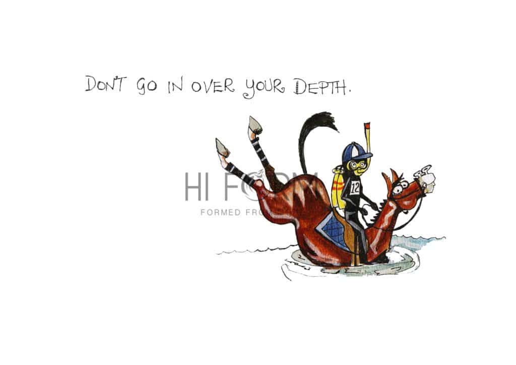 Hi Form Equine – Premium Horse Supplements