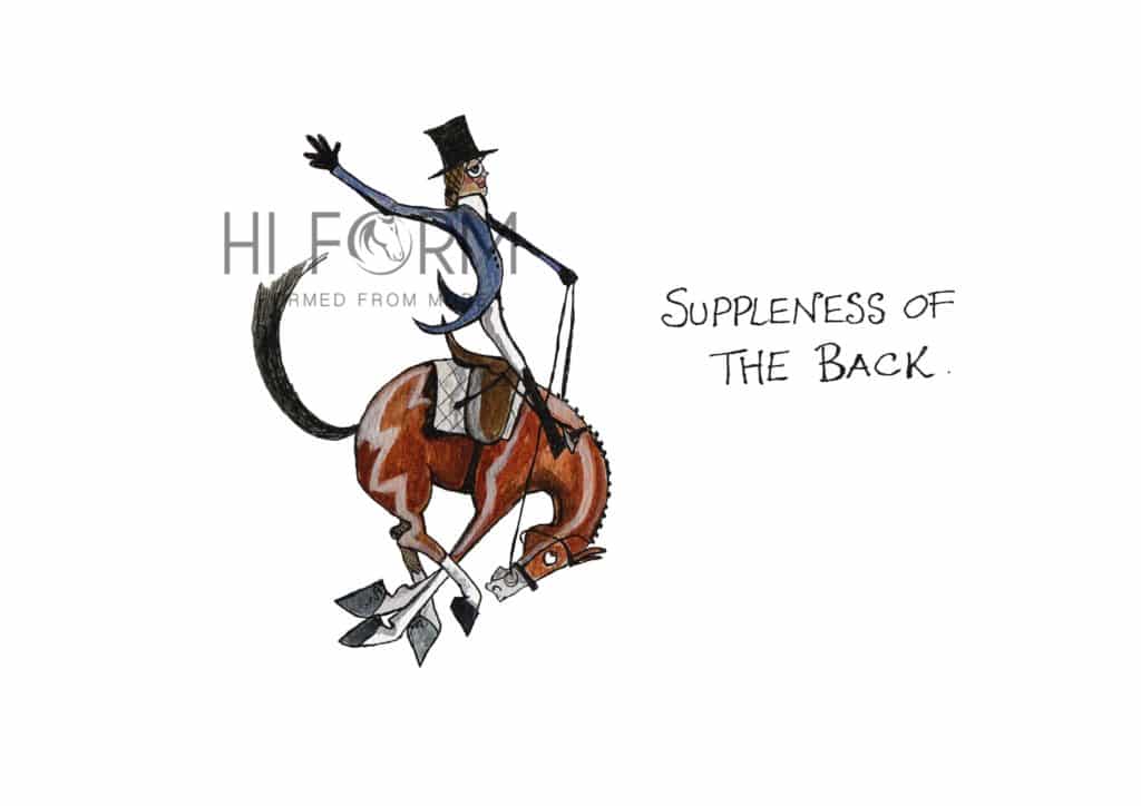 Hi Form Equine – Premium Horse Supplements