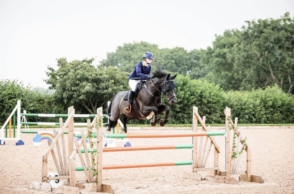 Hi Form Equine – Premium Horse Supplements