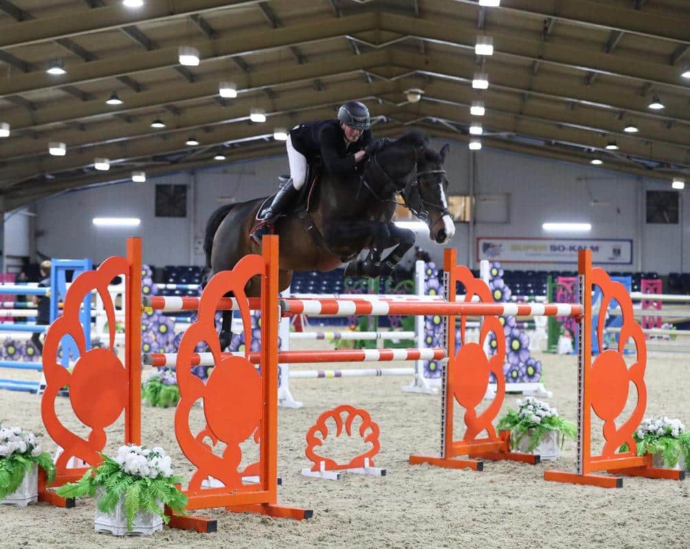 Hi Form Equine – Premium Horse Supplements