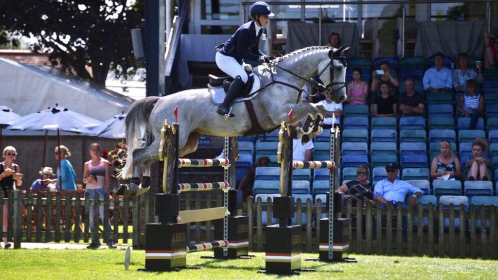 Hi Form Equine – Premium Horse Supplements