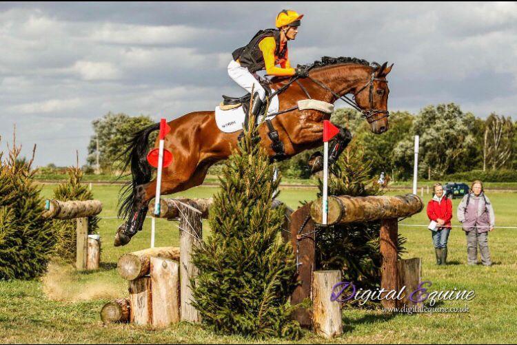 Hi Form Equine – Premium Horse Supplements