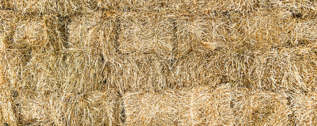 Hi Form Equine – Premium Horse Supplements