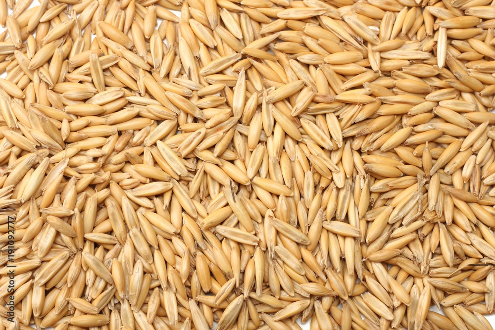 Hi Form Equine – Premium Horse Supplements