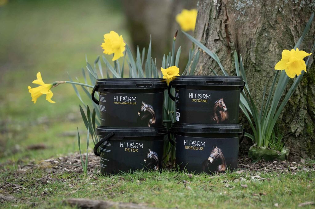 Hi Form Equine – Premium Horse Supplements