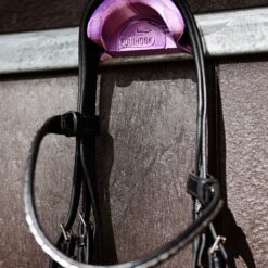 Alternative view of EquiHook - Magnetic Bridle Hook